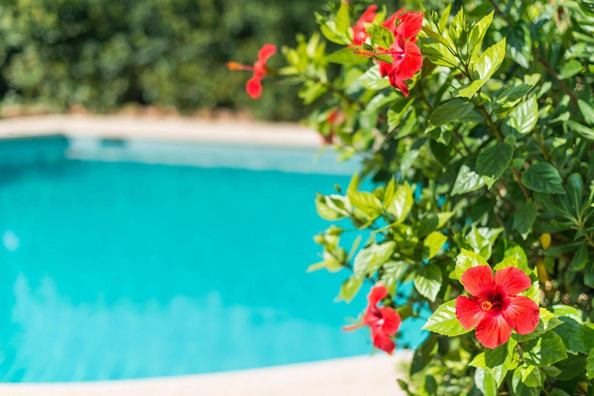 Hostal Casa Bauza Cala Ratjada  Buitenkant foto
